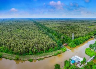 Khu bảo tồn thiên nhiên Lung Ngọc Hoàng – lá phổi xanh của mảnh đất Hậu Giang Khu bảo tồn thiên nhiên Lung Ngọc Hoàng - lá phổi xanh của mảnh đất Hậu Giang