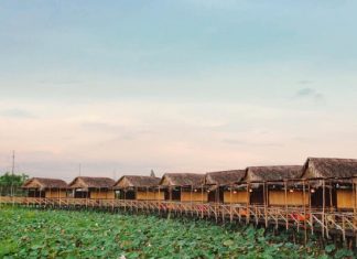 Bỏ túi ngay kinh nghiệm đi tour du lịch Cao Lãnh – Đồng Tháp cực chi tiết Bỏ túi ngay kinh nghiệm đi tour du lịch Cao Lãnh - Đồng Tháp cực chi tiết